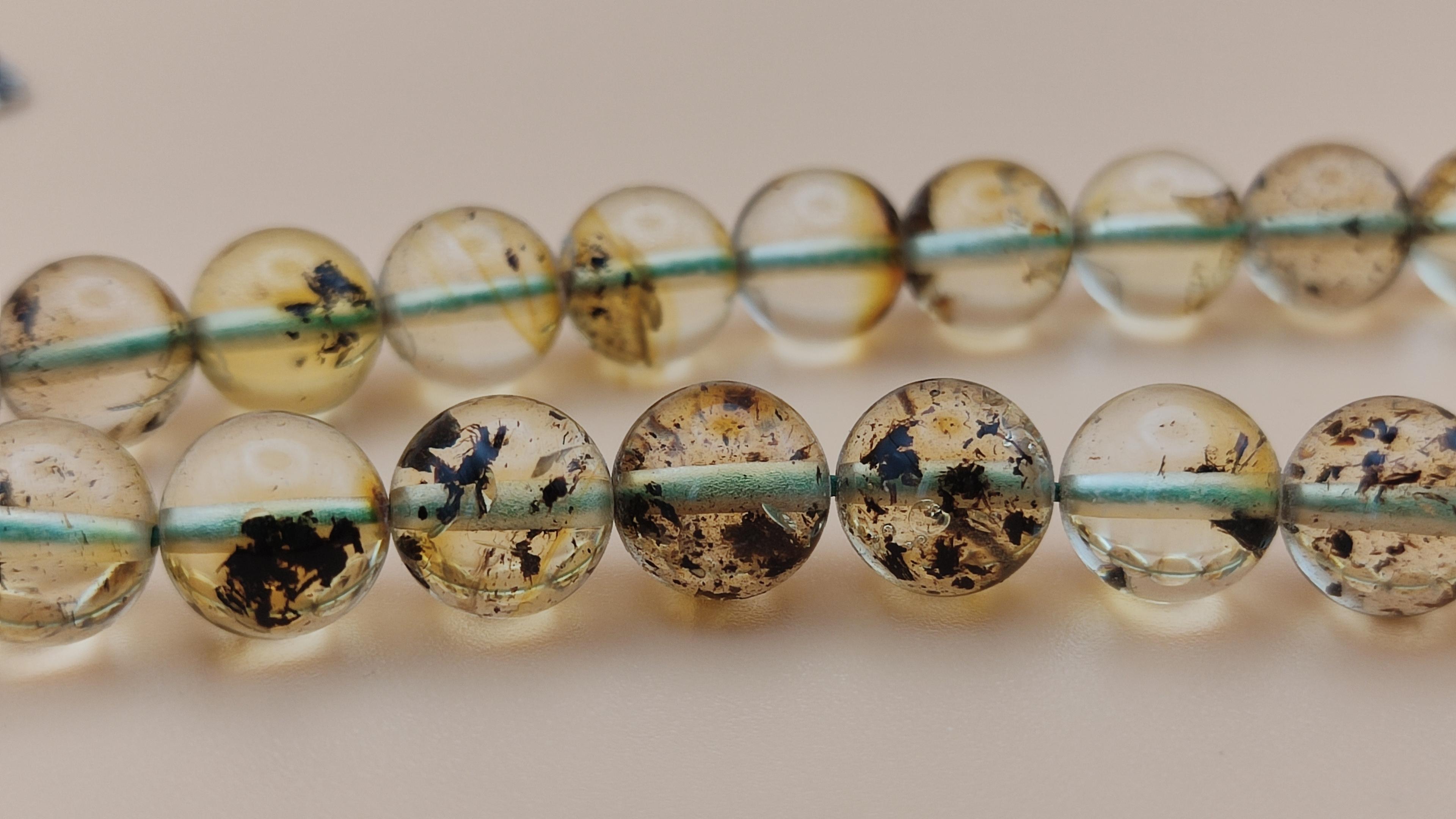 Botaniczny bursztyn bałtycki Misbaha view 2