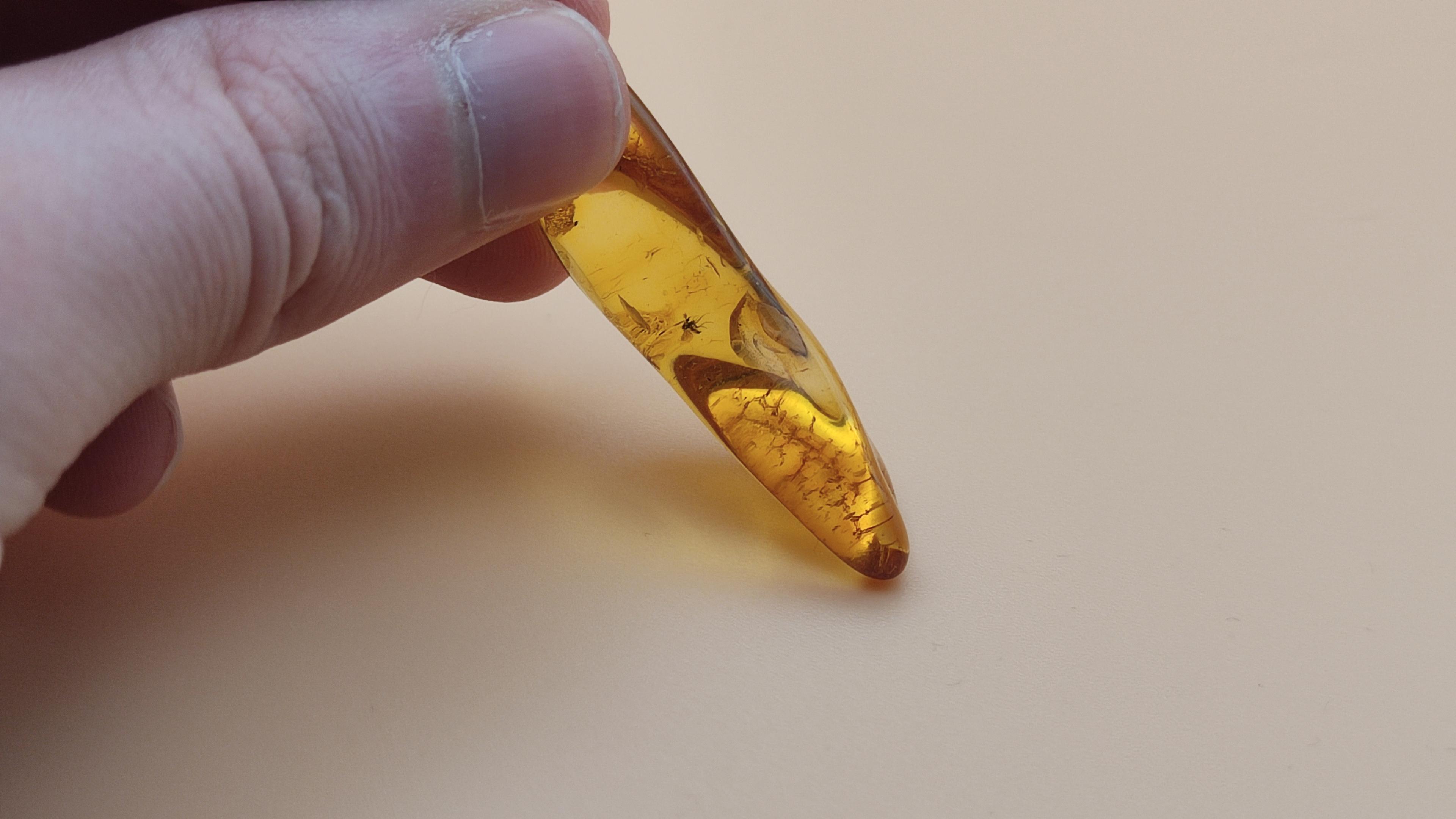 Bursztynowy Kamień Z Insektem view 4