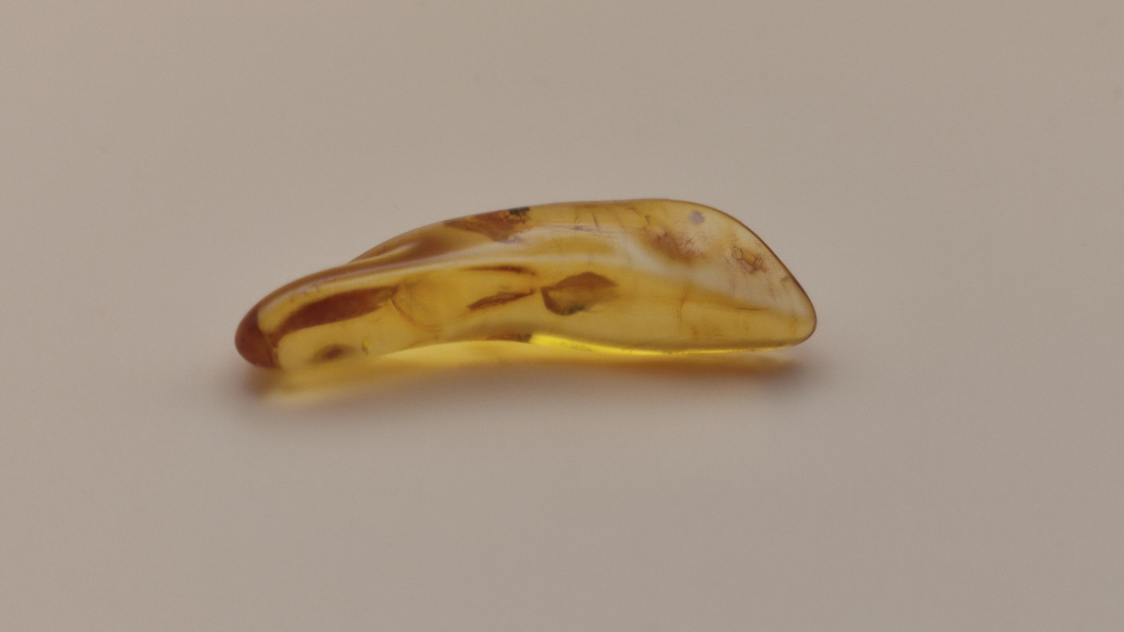 Bursztynowy Kamień Z Insektem