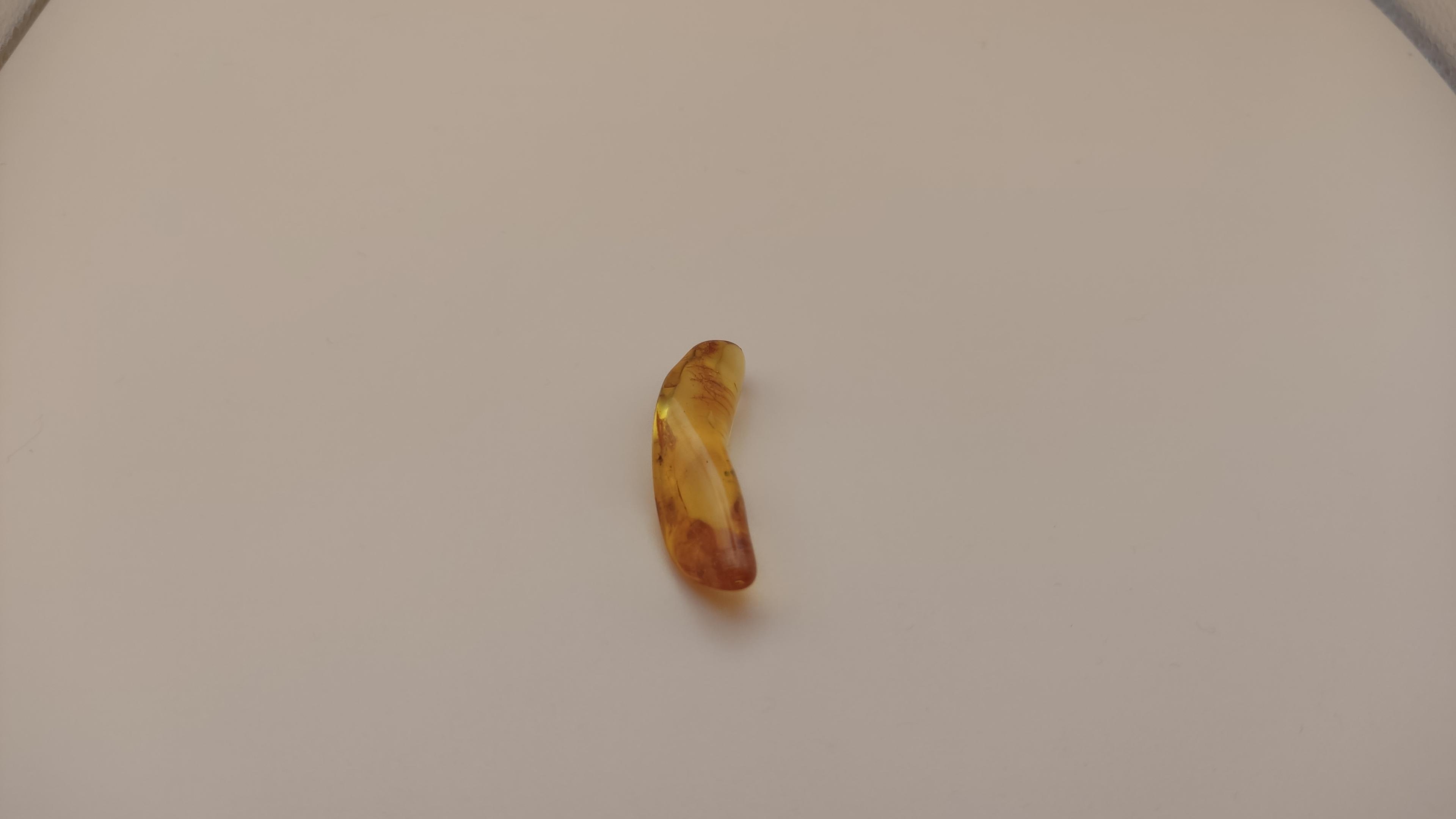 Bursztynowy Kamień Z Insektem view 3