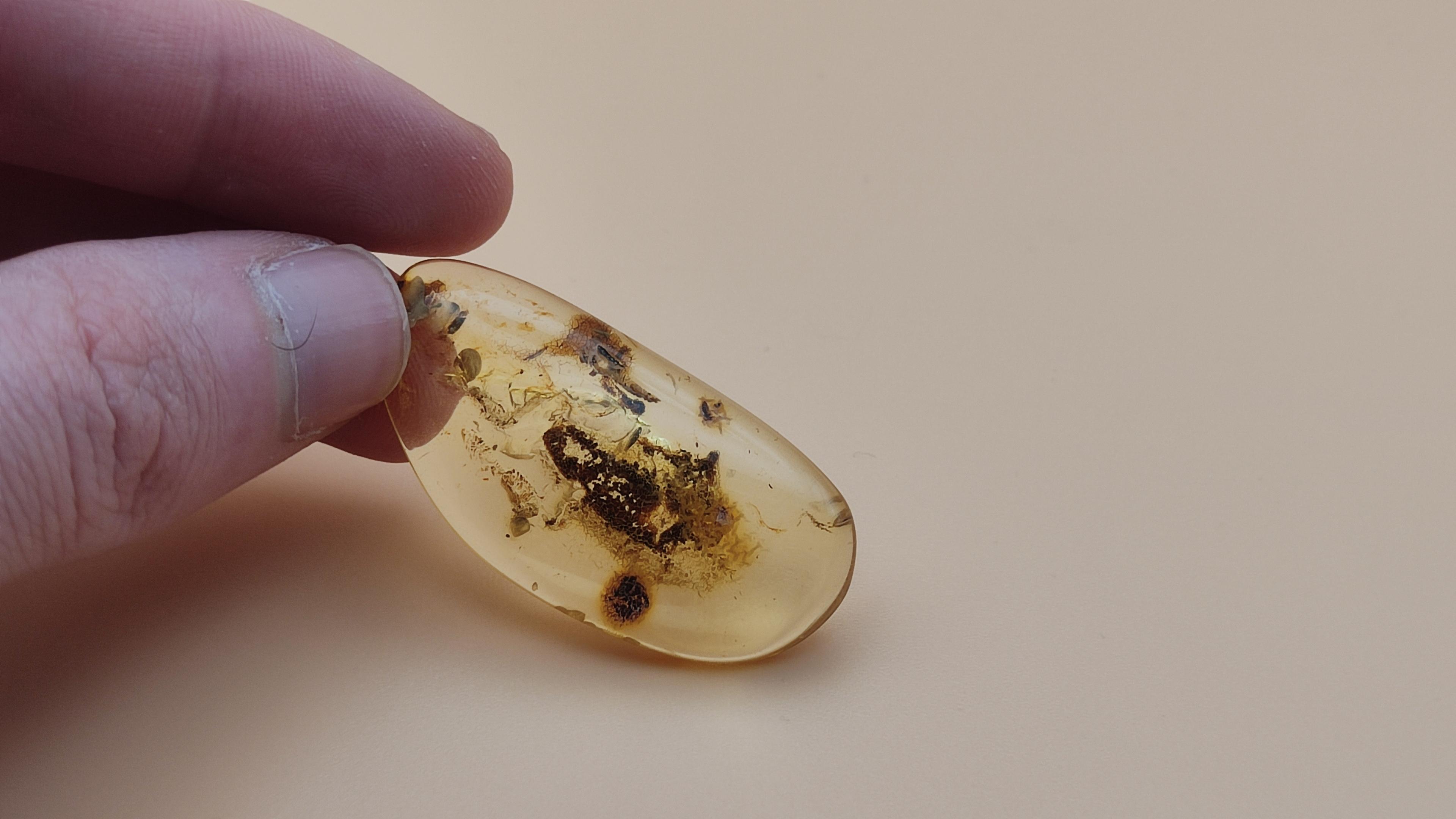 Bursztynowy kamień view 4