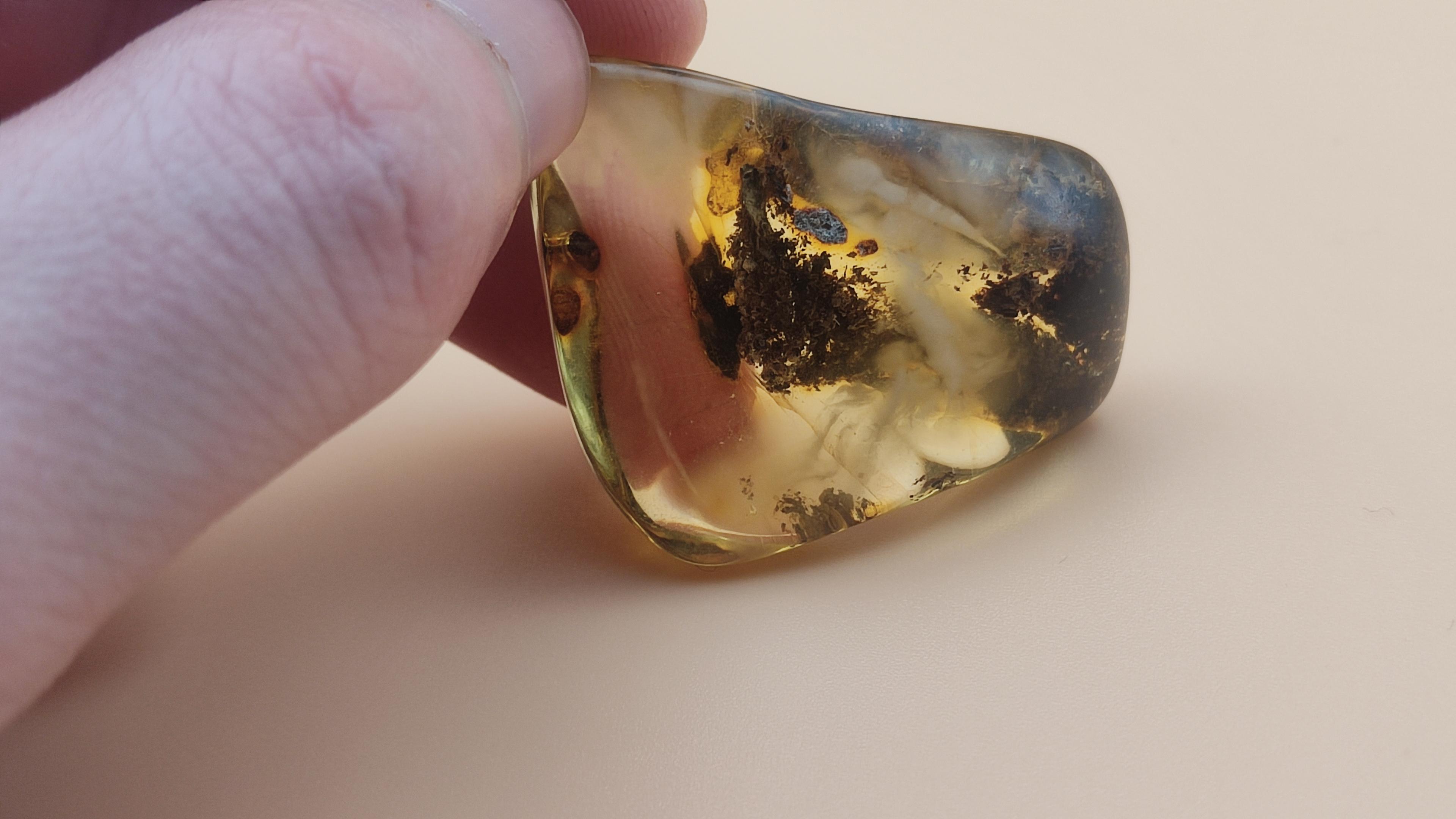 Bursztynowy Kamień Z Rośliną view 3