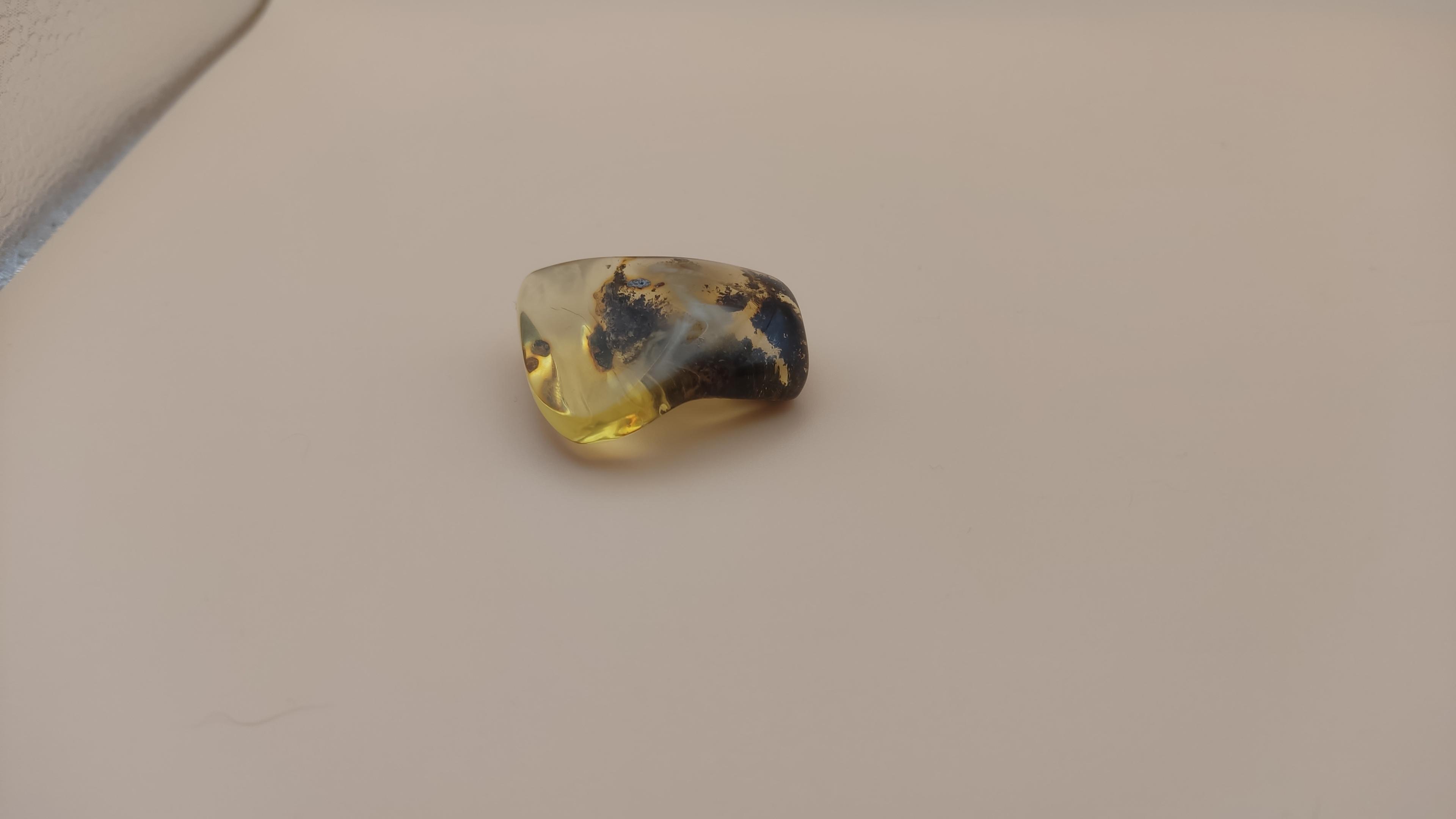 Bursztynowy Kamień Z Rośliną view 2