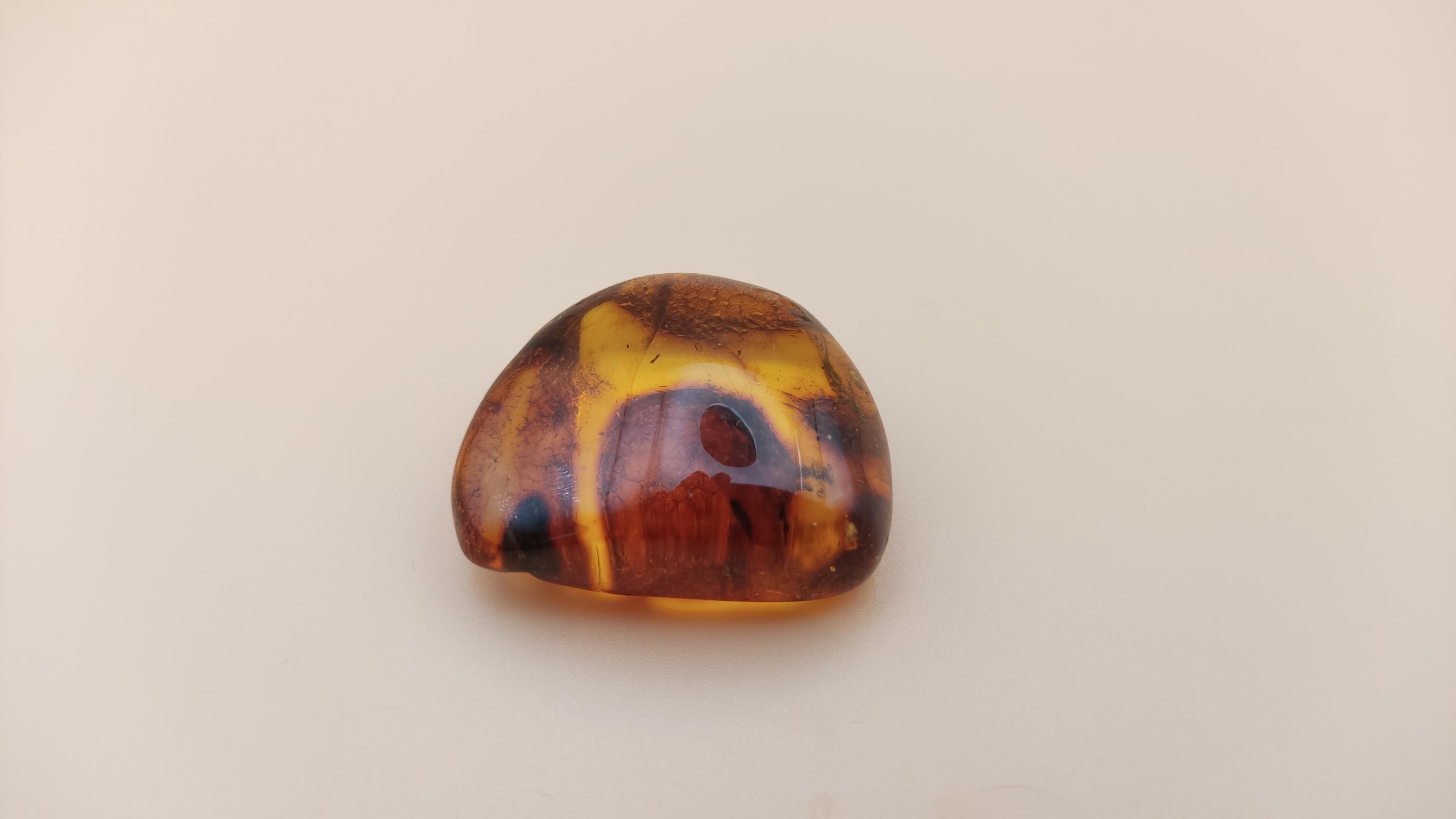 Złoto natury – 9,41 g czystego bursztynu bałtyckiego view 3