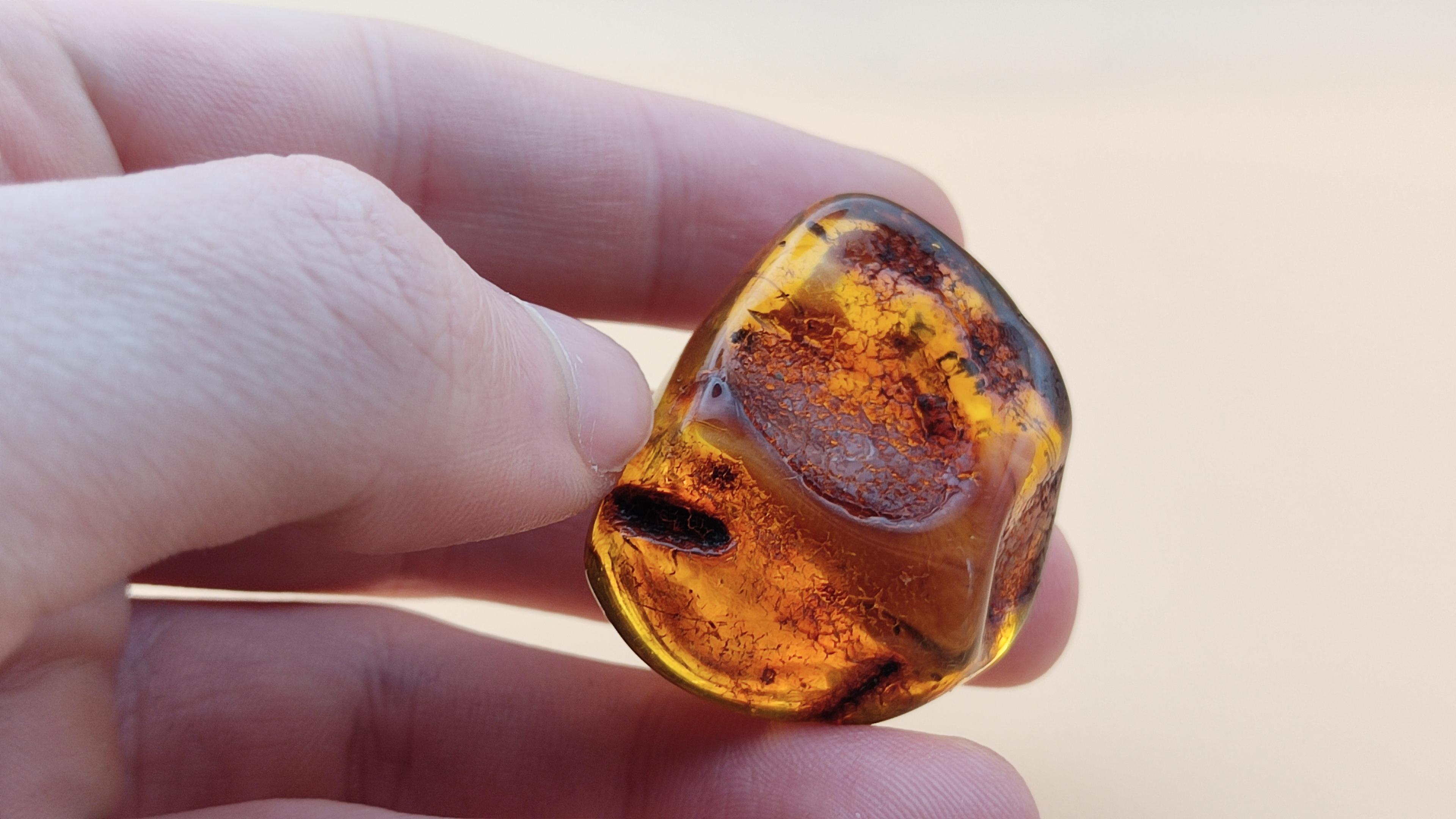 Złoto natury – 9,41 g czystego bursztynu bałtyckiego view 4